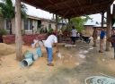 Bestandsnaam=ALIG_op_Leyte-20140901-104.jpg
Bestandsgrootte=385KiB
Afmetingen = 2048x1509
Datum toegevoegd = %04 %123 %2014 ALIG_op_Leyte-20140901-104.jpg