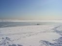 Bestandsnaam=AnivaBeach_15.jpg
Bestandsgrootte=207KiB
Afmetingen = 2048x1536
Datum toegevoegd = 16 okt 2014 AnivaBeach_15.jpg
