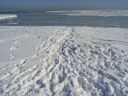 Bestandsnaam=AnivaBeach_16.jpg
Bestandsgrootte=322KiB
Afmetingen = 2048x1536
Datum toegevoegd = 16 okt 2014 AnivaBeach_16.jpg