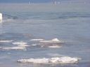 Bestandsnaam=AnivaBeach_18.jpg
Bestandsgrootte=202KiB
Afmetingen = 2048x1536
Datum toegevoegd = 16 okt 2014 AnivaBeach_18.jpg