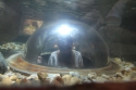 Bestandsnaam=Aquarium_0004.jpg
Bestandsgrootte=154KiB
Afmetingen = 2048x1365
Datum toegevoegd = %15 %255 %2015 Aquarium_0004.jpg