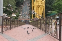 BatuCaves_0014.jpg