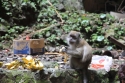 BatuCaves_0034.jpg