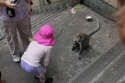 Bestandsnaam=BatuCaves_0082.jpg
Bestandsgrootte=346KiB
Afmetingen = 2048x1365
Datum toegevoegd = %15 %261 %2015 BatuCaves_0082.jpg