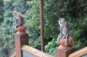 Bestandsnaam=BatuCaves_0083.jpg
Bestandsgrootte=318KiB
Afmetingen = 2048x1365
Datum toegevoegd = %15 %261 %2015 BatuCaves_0083.jpg