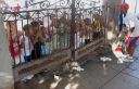Bestandsnaam=Cuba118.jpg
Bestandsgrootte=476KiB
Afmetingen = 1600x1034
Datum toegevoegd = %03 %158 %2014 Cuba118.jpg
