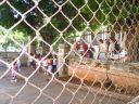 Bestandsnaam=Cuba121.jpg
Bestandsgrootte=320KiB
Afmetingen = 1024x768
Datum toegevoegd = %03 %158 %2014 Cuba121.jpg