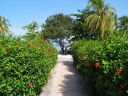 Bestandsnaam=Cuba610.JPG
Bestandsgrootte=971KiB
Afmetingen = 1600x1200
Datum toegevoegd = %03 %236 %2014 Cuba610.JPG