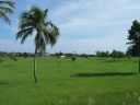 Bestandsnaam=Cuba635.jpg
Bestandsgrootte=648KiB
Afmetingen = 1600x1200
Datum toegevoegd = %03 %238 %2014 Cuba635.jpg