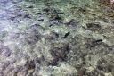 Bestandsnaam=El_Nido_Miniloc_097.jpg
Bestandsgrootte=431KiB
Afmetingen = 2048x1365
Datum toegevoegd = %15 %140 %2014 El_Nido_Miniloc_097.jpg