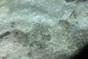 Bestandsnaam=El_Nido_Miniloc_144.jpg
Bestandsgrootte=275KiB
Afmetingen = 2048x1365
Datum toegevoegd = %15 %143 %2014 El_Nido_Miniloc_144.jpg