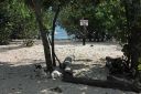 Bestandsnaam=El_Nido_Miniloc_174.jpg
Bestandsgrootte=348KiB
Afmetingen = 2048x1365
Datum toegevoegd = %15 %152 %2014 El_Nido_Miniloc_174.jpg