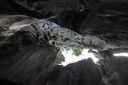 Bestandsnaam=El_Nido_Miniloc_195.jpg
Bestandsgrootte=206KiB
Afmetingen = 2048x1365
Datum toegevoegd = %15 %154 %2014 El_Nido_Miniloc_195.jpg