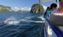 Bestandsnaam=El_Nido_Miniloc_207.jpg
Bestandsgrootte=204KiB
Afmetingen = 2048x1235
Datum toegevoegd = %15 %155 %2014 El_Nido_Miniloc_207.jpg