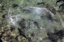 Bestandsnaam=El_Nido_Miniloc_215.jpg
Bestandsgrootte=309KiB
Afmetingen = 2048x1365
Datum toegevoegd = %15 %155 %2014 El_Nido_Miniloc_215.jpg