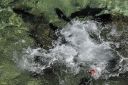 Bestandsnaam=El_Nido_Miniloc_217.jpg
Bestandsgrootte=461KiB
Afmetingen = 2048x1365
Datum toegevoegd = %15 %155 %2014 El_Nido_Miniloc_217.jpg