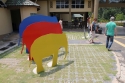 Bestandsnaam=ElephantPark_0006.jpg
Bestandsgrootte=366KiB
Afmetingen = 2048x1365
Datum toegevoegd = %14 %230 %2015 ElephantPark_0006.jpg