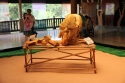 Bestandsnaam=ElephantPark_0010.jpg
Bestandsgrootte=243KiB
Afmetingen = 2048x1365
Datum toegevoegd = %14 %230 %2015 ElephantPark_0010.jpg