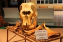 Bestandsnaam=ElephantPark_0011.jpg
Bestandsgrootte=229KiB
Afmetingen = 2048x1365
Datum toegevoegd = %14 %230 %2015 ElephantPark_0011.jpg
