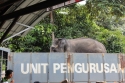 Bestandsnaam=ElephantPark_0020.jpg
Bestandsgrootte=322KiB
Afmetingen = 2048x1365
Datum toegevoegd = %14 %231 %2015 ElephantPark_0020.jpg
