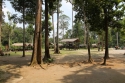 Bestandsnaam=ElephantPark_0024.jpg
Bestandsgrootte=507KiB
Afmetingen = 2048x1365
Datum toegevoegd = %14 %231 %2015 ElephantPark_0024.jpg