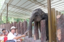Bestandsnaam=ElephantPark_0025.jpg
Bestandsgrootte=377KiB
Afmetingen = 2048x1365
Datum toegevoegd = %14 %231 %2015 ElephantPark_0025.jpg