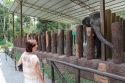 Bestandsnaam=ElephantPark_0027.jpg
Bestandsgrootte=428KiB
Afmetingen = 2048x1365
Datum toegevoegd = %14 %238 %2015 ElephantPark_0027.jpg