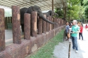 Bestandsnaam=ElephantPark_0028.jpg
Bestandsgrootte=503KiB
Afmetingen = 2048x1365
Datum toegevoegd = %14 %232 %2015 ElephantPark_0028.jpg