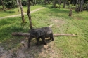 Bestandsnaam=ElephantPark_0031.jpg
Bestandsgrootte=624KiB
Afmetingen = 2048x1365
Datum toegevoegd = %14 %232 %2015 ElephantPark_0031.jpg