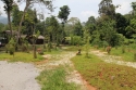 Bestandsnaam=ElephantPark_0036.jpg
Bestandsgrootte=584KiB
Afmetingen = 2048x1365
Datum toegevoegd = %14 %233 %2015 ElephantPark_0036.jpg