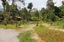 ElephantPark_0036.jpg