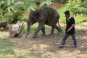 Bestandsnaam=ElephantPark_0039.jpg
Bestandsgrootte=470KiB
Afmetingen = 2048x1365
Datum toegevoegd = %14 %233 %2015 ElephantPark_0039.jpg