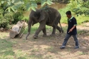 ElephantPark_0039.jpg