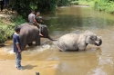 Bestandsnaam=ElephantPark_0043.jpg
Bestandsgrootte=364KiB
Afmetingen = 2048x1365
Datum toegevoegd = %14 %233 %2015 ElephantPark_0043.jpg