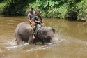 Bestandsnaam=ElephantPark_0046.jpg
Bestandsgrootte=378KiB
Afmetingen = 2048x1365
Datum toegevoegd = %14 %233 %2015 ElephantPark_0046.jpg