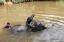 Bestandsnaam=ElephantPark_0048.jpg
Bestandsgrootte=349KiB
Afmetingen = 2048x1365
Datum toegevoegd = %14 %233 %2015 ElephantPark_0048.jpg