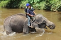 Bestandsnaam=ElephantPark_0049.jpg
Bestandsgrootte=371KiB
Afmetingen = 2048x1365
Datum toegevoegd = %14 %233 %2015 ElephantPark_0049.jpg