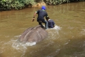 Bestandsnaam=ElephantPark_0051.jpg
Bestandsgrootte=274KiB
Afmetingen = 2048x1365
Datum toegevoegd = %14 %233 %2015 ElephantPark_0051.jpg