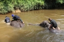 Bestandsnaam=ElephantPark_0052.jpg
Bestandsgrootte=361KiB
Afmetingen = 2048x1365
Datum toegevoegd = %14 %233 %2015 ElephantPark_0052.jpg