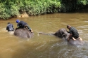 ElephantPark_0052.jpg