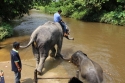 Bestandsnaam=ElephantPark_0053.jpg
Bestandsgrootte=310KiB
Afmetingen = 2048x1365
Datum toegevoegd = %14 %233 %2015 ElephantPark_0053.jpg