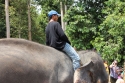 Bestandsnaam=ElephantPark_0054.jpg
Bestandsgrootte=440KiB
Afmetingen = 2048x1365
Datum toegevoegd = %14 %234 %2015 ElephantPark_0054.jpg
