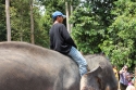 ElephantPark_0054.jpg