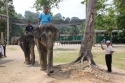 Bestandsnaam=ElephantPark_0055.jpg
Bestandsgrootte=466KiB
Afmetingen = 2048x1365
Datum toegevoegd = %14 %234 %2015 ElephantPark_0055.jpg