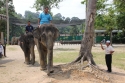 ElephantPark_0055.jpg