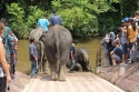 Bestandsnaam=ElephantPark_0056.jpg
Bestandsgrootte=433KiB
Afmetingen = 2048x1365
Datum toegevoegd = %14 %234 %2015 ElephantPark_0056.jpg