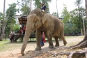 Bestandsnaam=ElephantPark_0057.jpg
Bestandsgrootte=509KiB
Afmetingen = 2048x1365
Datum toegevoegd = %14 %234 %2015 ElephantPark_0057.jpg