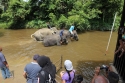 Bestandsnaam=ElephantPark_0059.jpg
Bestandsgrootte=391KiB
Afmetingen = 2048x1365
Datum toegevoegd = %14 %234 %2015 ElephantPark_0059.jpg