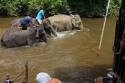 Bestandsnaam=ElephantPark_0060.jpg
Bestandsgrootte=336KiB
Afmetingen = 2048x1365
Datum toegevoegd = %14 %234 %2015 ElephantPark_0060.jpg