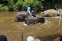 Bestandsnaam=ElephantPark_0061.jpg
Bestandsgrootte=345KiB
Afmetingen = 2048x1365
Datum toegevoegd = %14 %234 %2015 ElephantPark_0061.jpg
